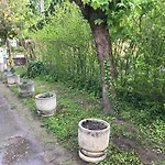 Guest house Palma Apartmanhaz Siofok