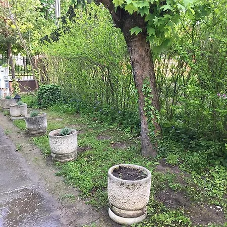 Гостевой дом Palma Apartmanhaz Шиофок