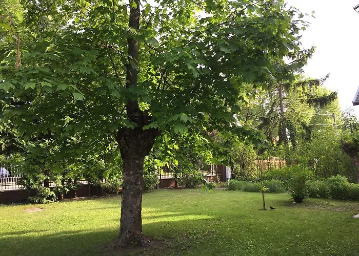 Konukevi Palma Apartmanhaz Siofok